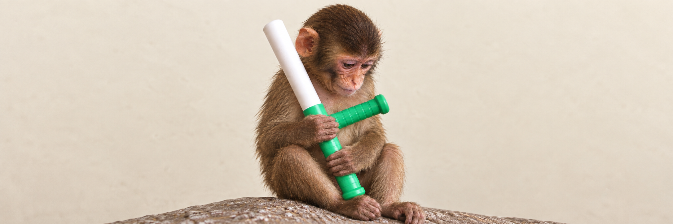 apebaton banner